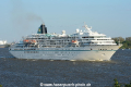 Amadea 080516-02.jpg