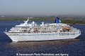 Amadea (OA-100508-2).jpg