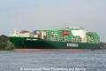 Ever Lambent 020912-16.jpg