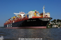 MSC Clara 100916-35.jpg