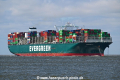 Ever Gentle OS-020622-06.jpg