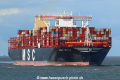 MSC Ditte TL-060920-2.jpg