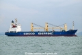 Da Fu OS-081024-06.jpg