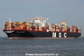 MSC Ditte SH-180816-03.jpg