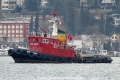 Kurtkulagi (OK-030315-2).jpg