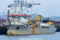 Taccola (KB-D120917-01).jpg