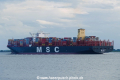 MSC Ditte (KK-060920-3).jpg