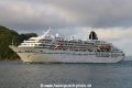 Amadea RV-150217-04.jpg