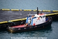 Mahi 031213-03.jpg