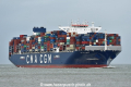 CMA CGM Tenere HK-021120-1.jpg