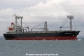 Jacaranda Ace (MS-241007-05).jpg