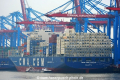 CMA CGM Tanya (KB-D040217-02).jpg