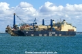 Castorone (MB-100826-8).jpg
