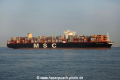 MSC Ditte (JS-180816-14).jpg