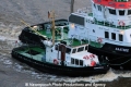 Kormoran JB-090114-00.jpg