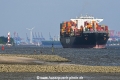 Cautin 170524-6.jpg