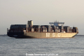 MSC Ditte (JS-180816-27).jpg