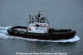 Mamo 301113-04.jpg