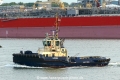 Lynx (MB-220425-2).jpg