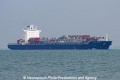 Maersk Dominica (TJ-211008-2).jpg