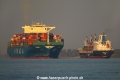 Megaboxer+MzwFr-Beg TL-110715-1.jpg