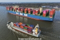 Megaboxer + Feeder 5325-1.jpg