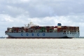 Cosco Denmark (KK-310715-3).jpg