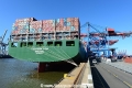 Megaboxer-Bukai 12315-03.jpg