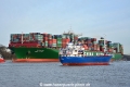 Megaboxer+Kuemo (KB-D160115-01).jpg