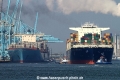 Megaboxer-Rotterdam SH-190513-01.jpg