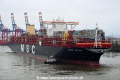 MSC Erica 251216-23.jpg