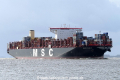 MSC Ingy (KK-230417-1).jpg