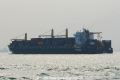 Calandra OS-101014-14.jpg