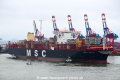 MSC Erica 251216-25.jpg