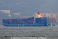 MOL Dominance OS-301008-10.jpg