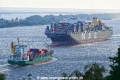Megaboxer+Feeder 090616-01.jpg