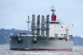 Bellina Colossus KH-230316-2.jpg