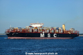 MSC Ingy OS-170816-15.jpg