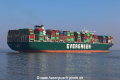 Ever Glory TL-310321-8.jpg
