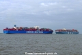 Megaboxertreff-COSCO-MOL (KK-190818-0).jpg