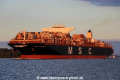 MSC Hamburg KH-050916-5.jpg