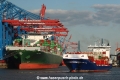 Megaboxer+Feeder TL-040516-1.jpg
