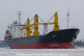Limnetic (OK-080210-0).jpg