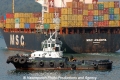 Marte RV-291111.jpg