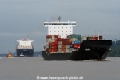 Megaboxer+Feeder (KB-D090816-01).jpg