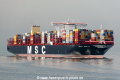 MSC Erica SH-120317-01.jpg