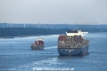Megaboxer+Feeder 10819-02.jpg