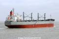 Bellina Colossus JG-200316-02.jpg