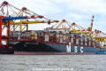 MSC Leanne OS-030817-23.jpg