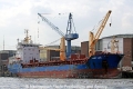 Lady Gaia (JS-240410-03).jpg